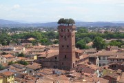 torre_guinigi