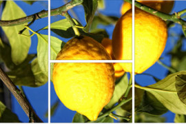 citron-mosaique-0cb07