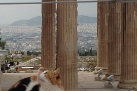 Atene dall’alto – foto anna maria de luca